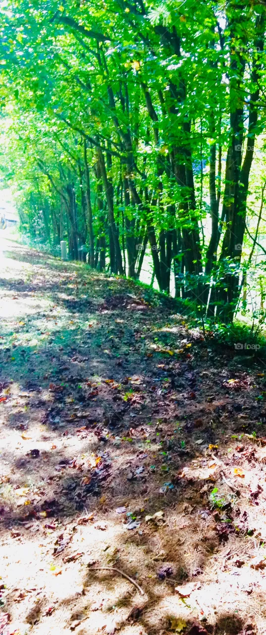 Outdoor 
