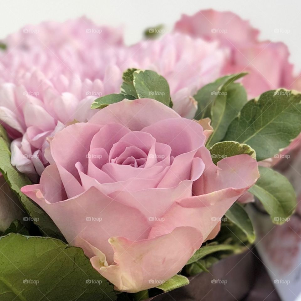 Pink and purple lilac bouquet 