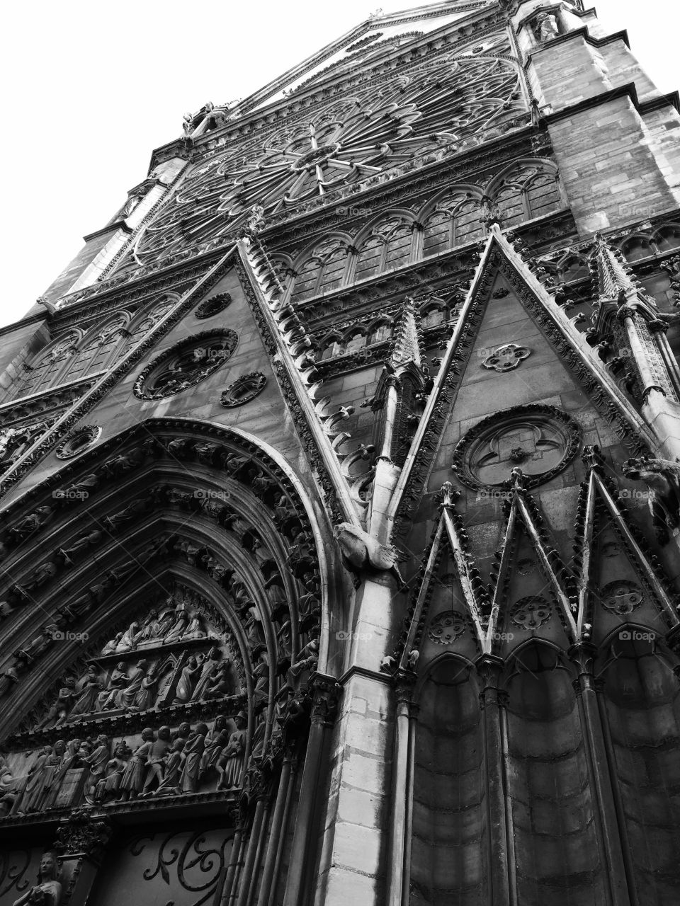 Notre Dame - Paris France 