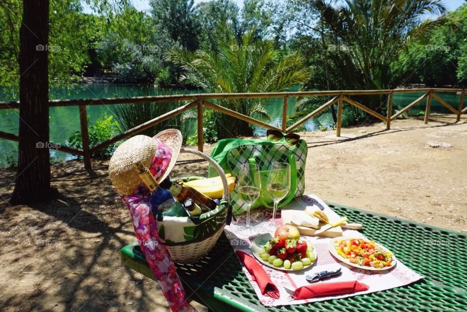 Picnic#nature#food#fruits#palms#beverage#wine#chill