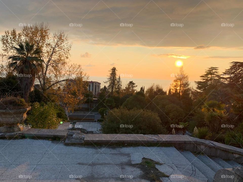 Санаторий Ордженикидзе Сочи 