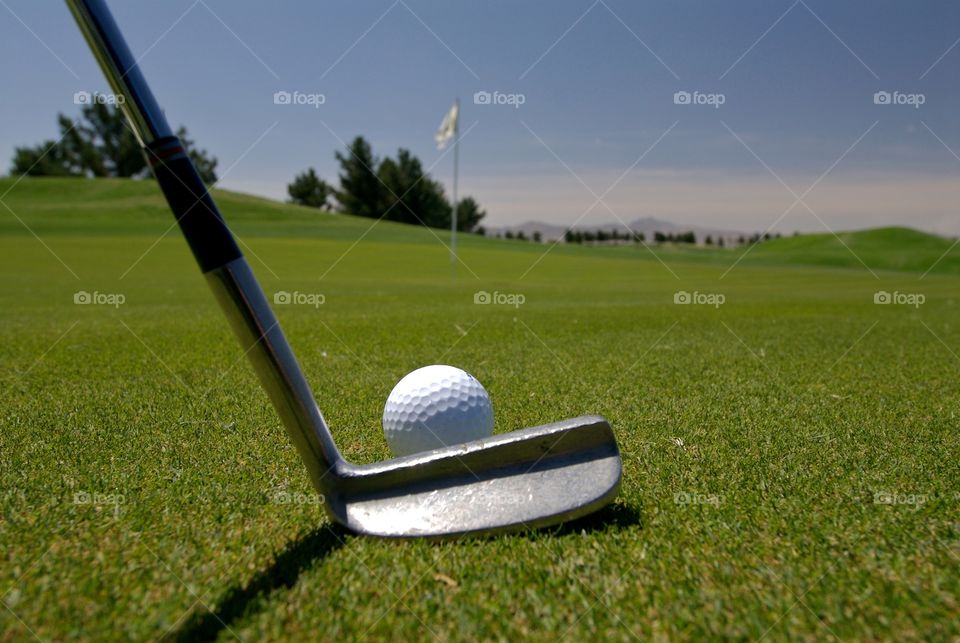 Golf putter lining up the shot