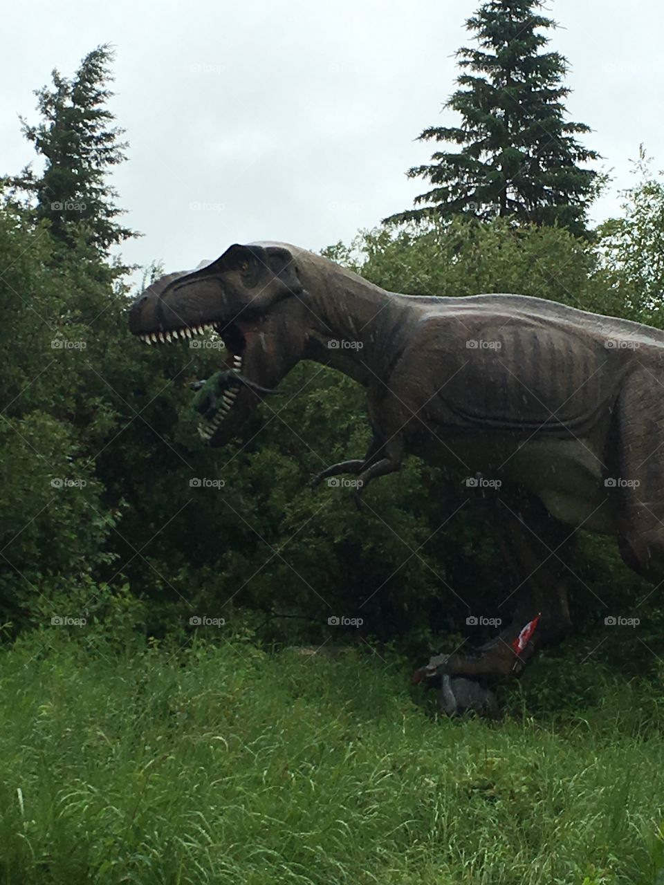 Tyrannosaurus rex at Jurassic forest 
