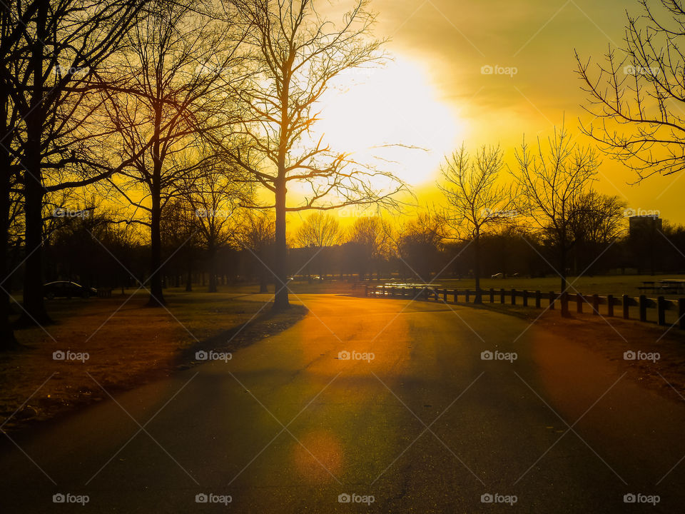 Sunset Light On The Road