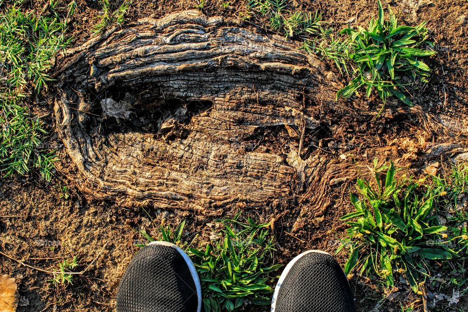 standing with nature