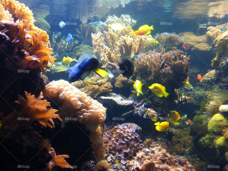 Baltimore Aquarium