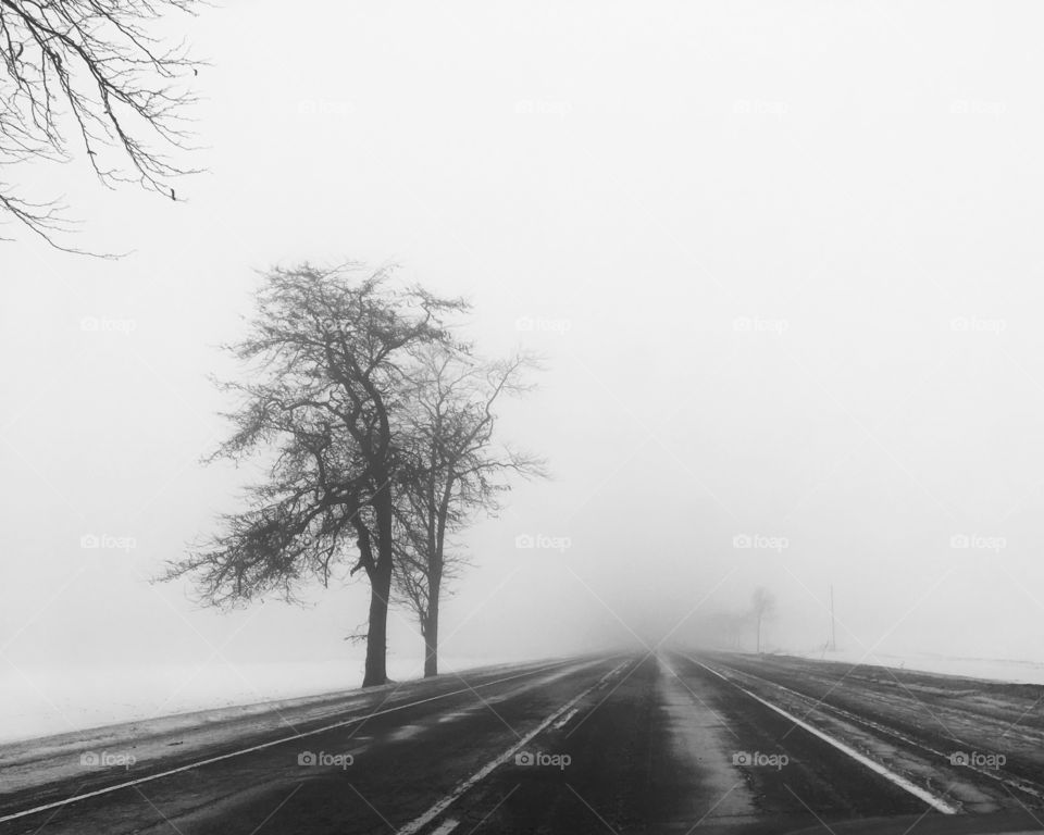Fog on a lonely road