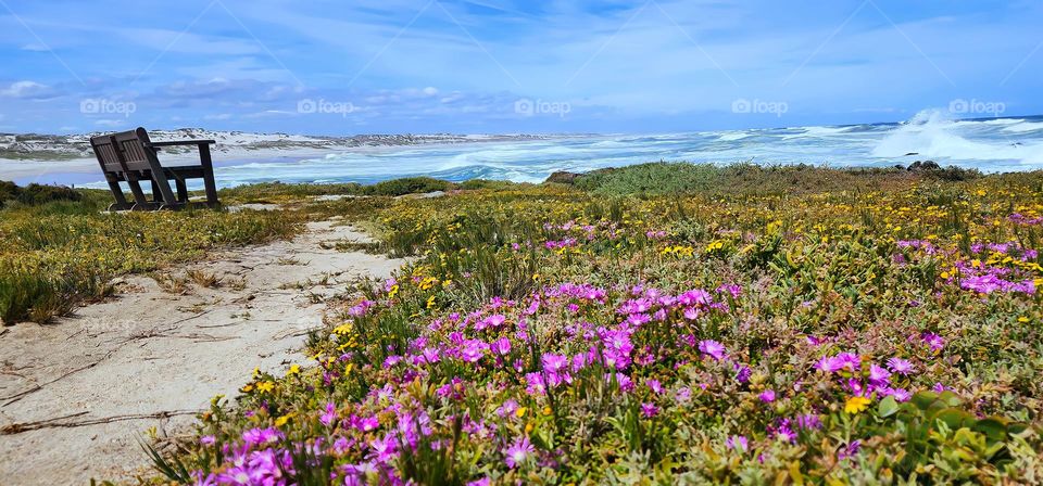 Relaxing place with a stunning view of the ocean in West Coast nature reserve, South Africa