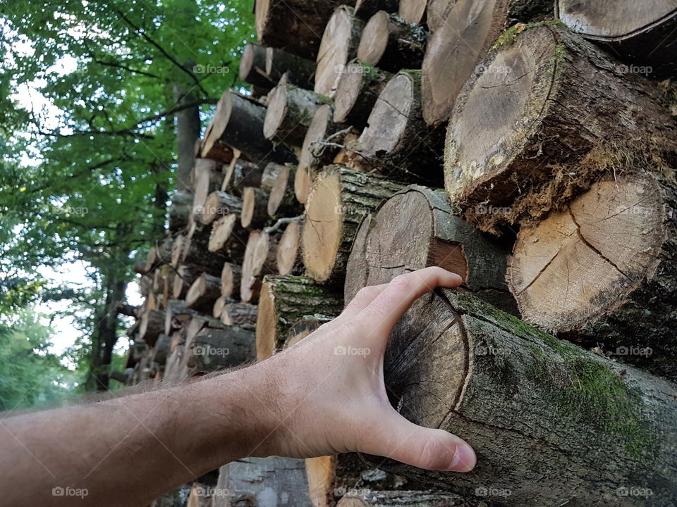 the hand and the wood