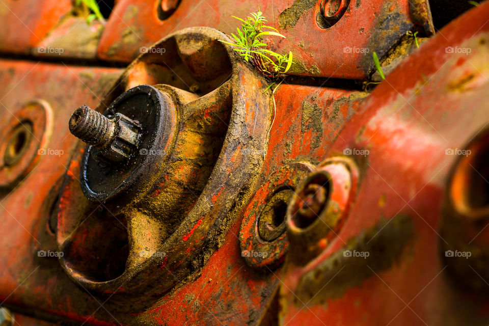 Close up macro image of farm equipment. Image of old planter in red with plants growing on it.