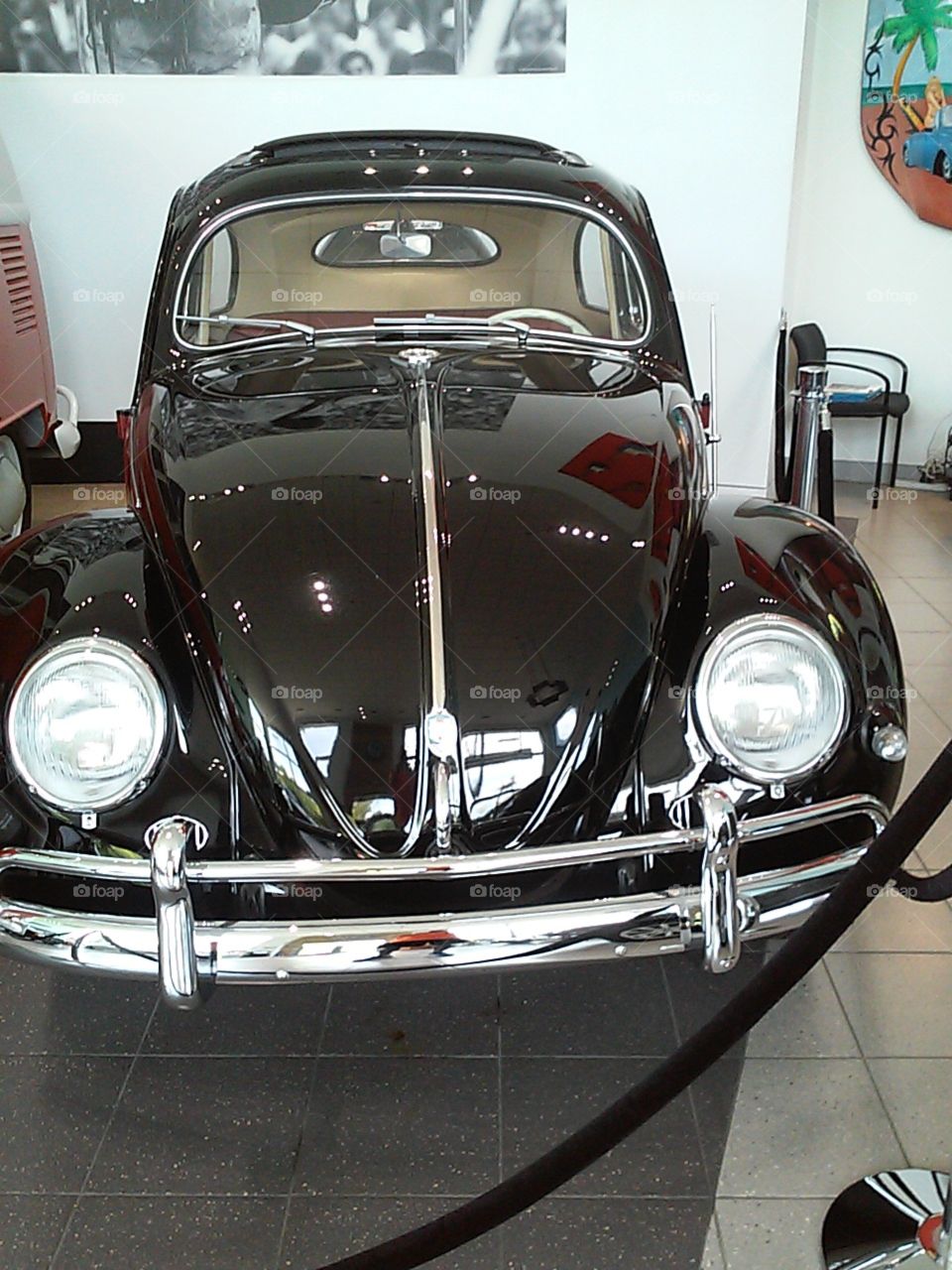 The Car . the beautiful Volkswagen