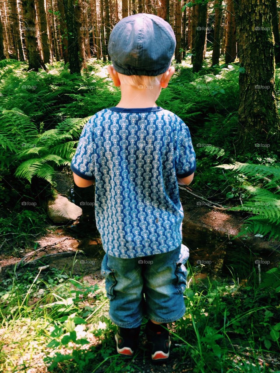 Little Boy in the Forest 