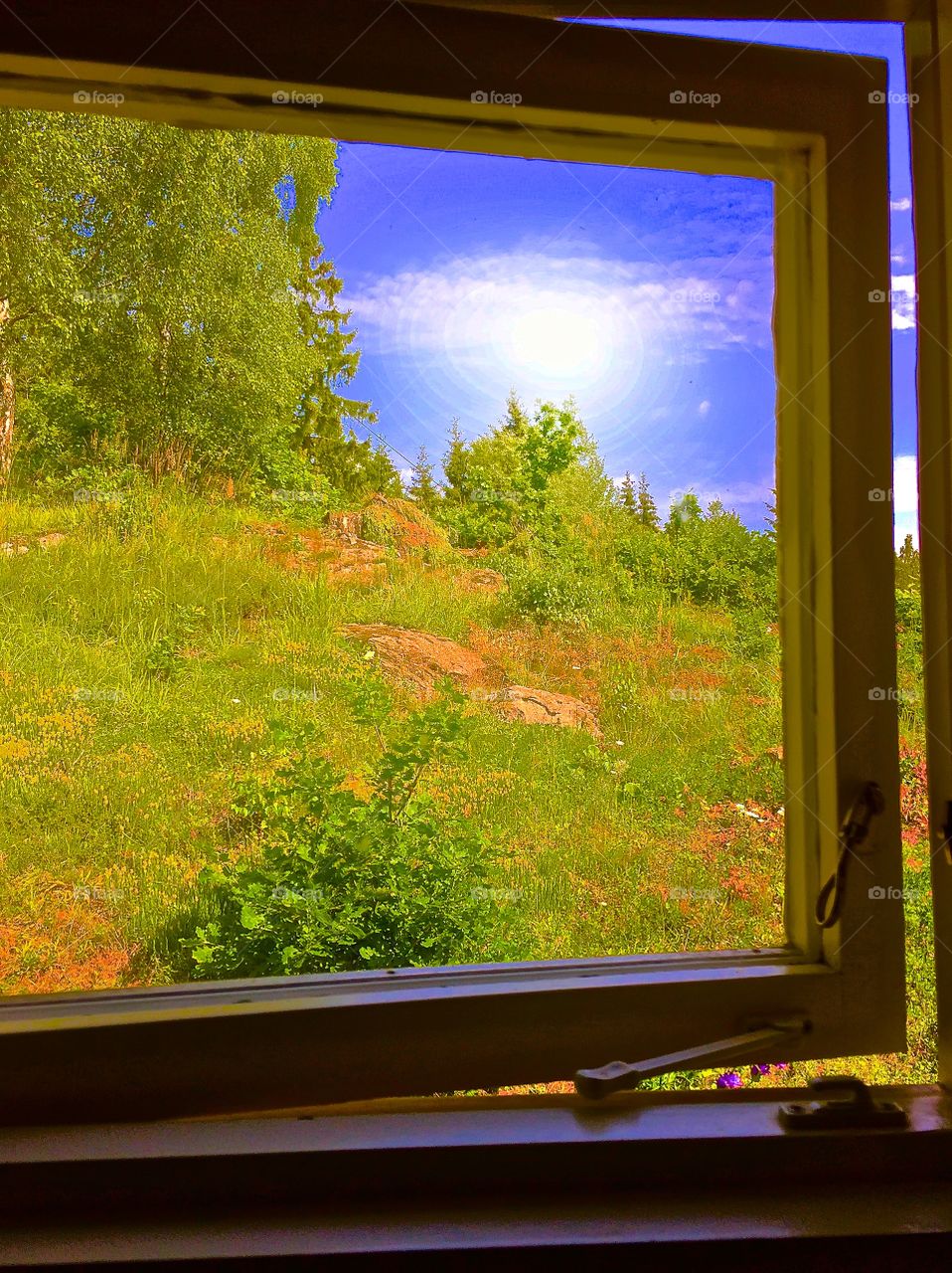 Day in the country side 