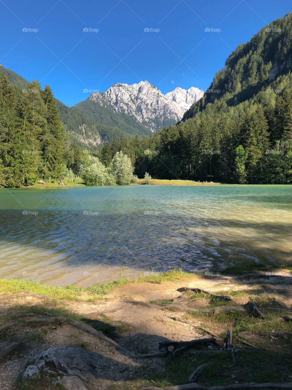 Shadow on the lake