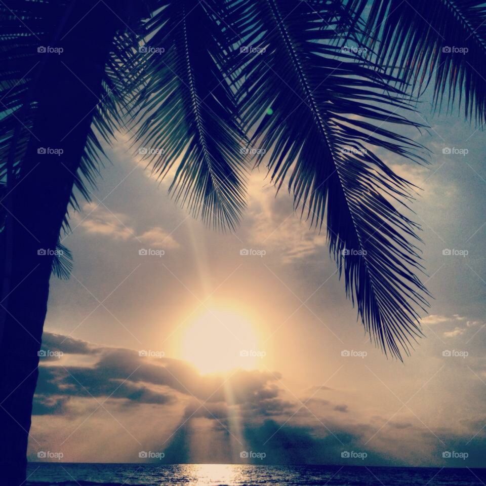 Sunset in Jamaica 