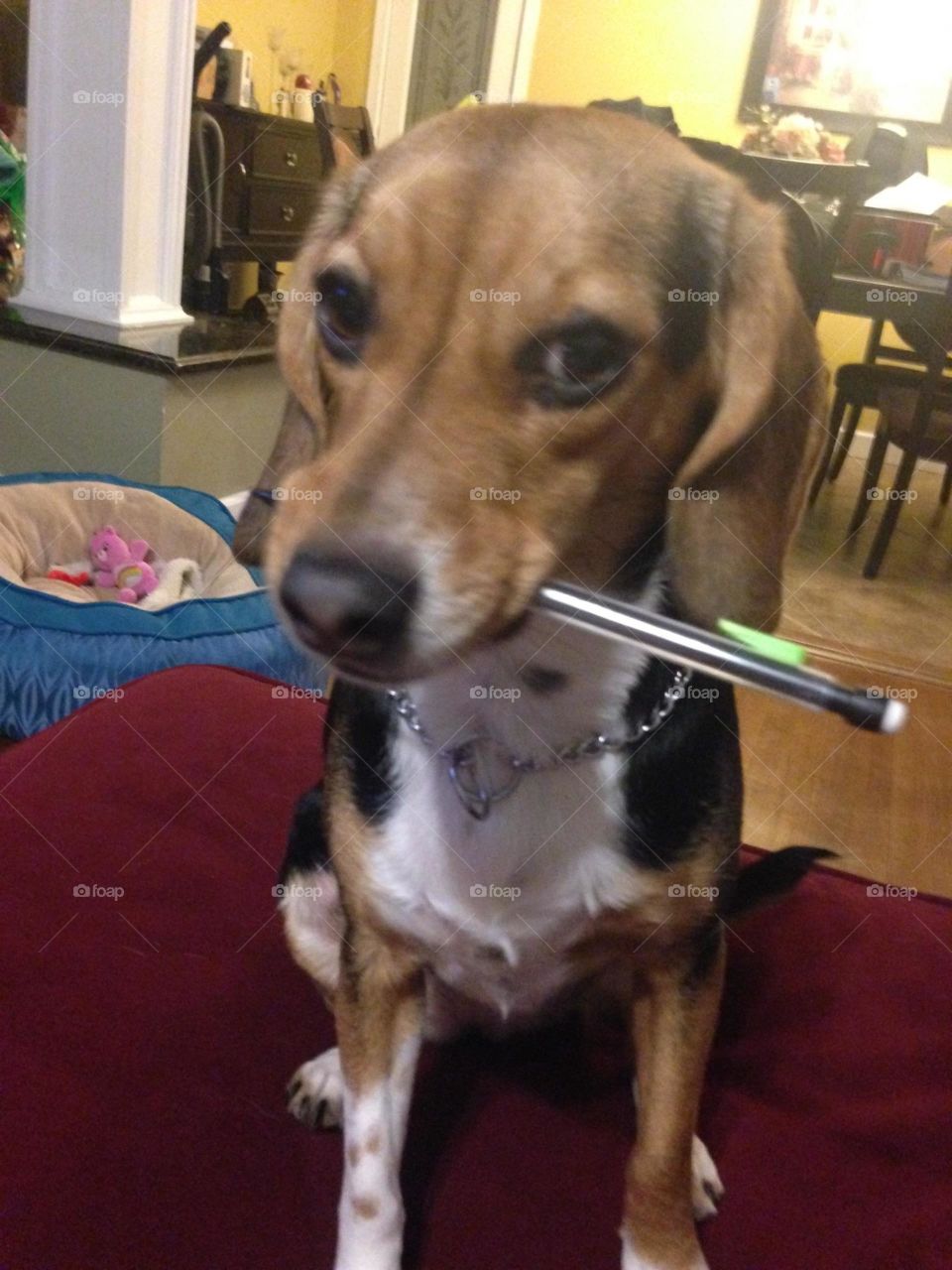 just takin some notes