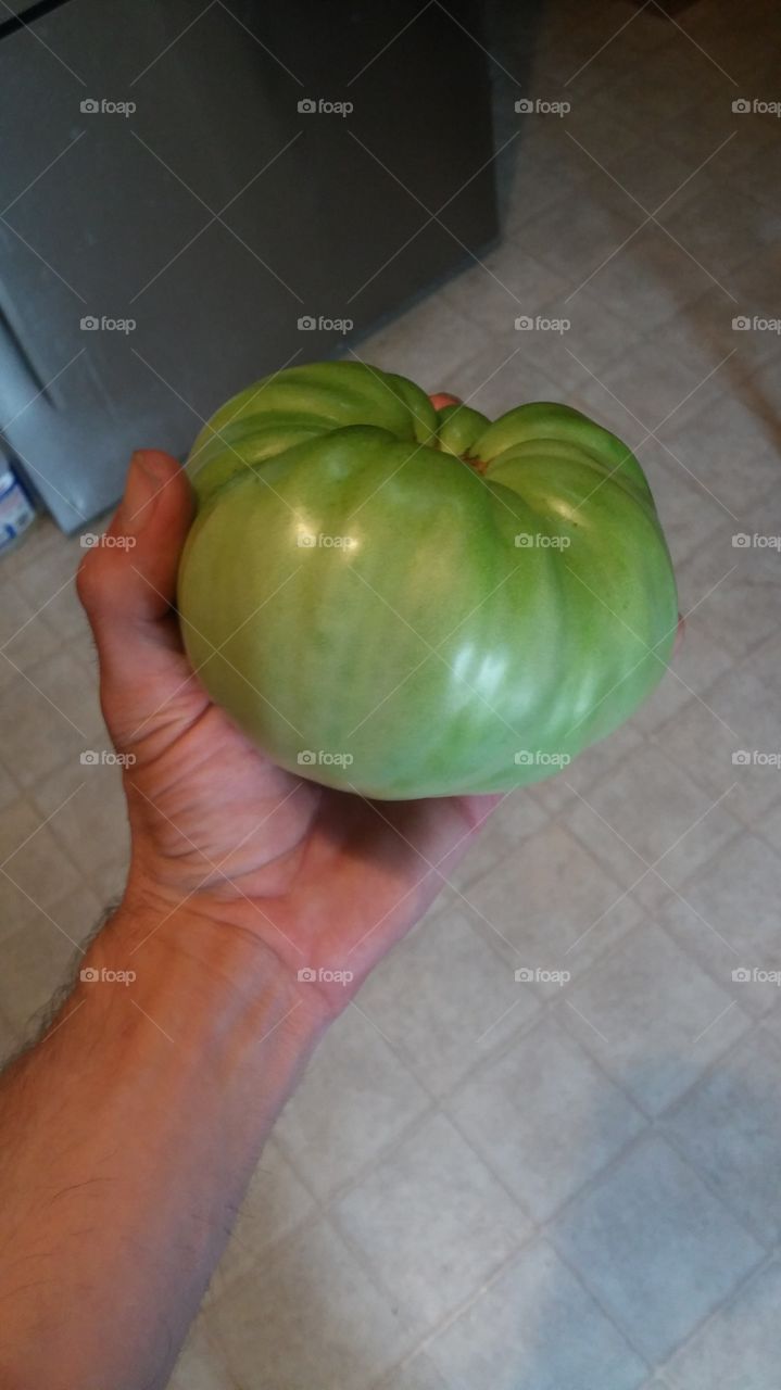 tomato