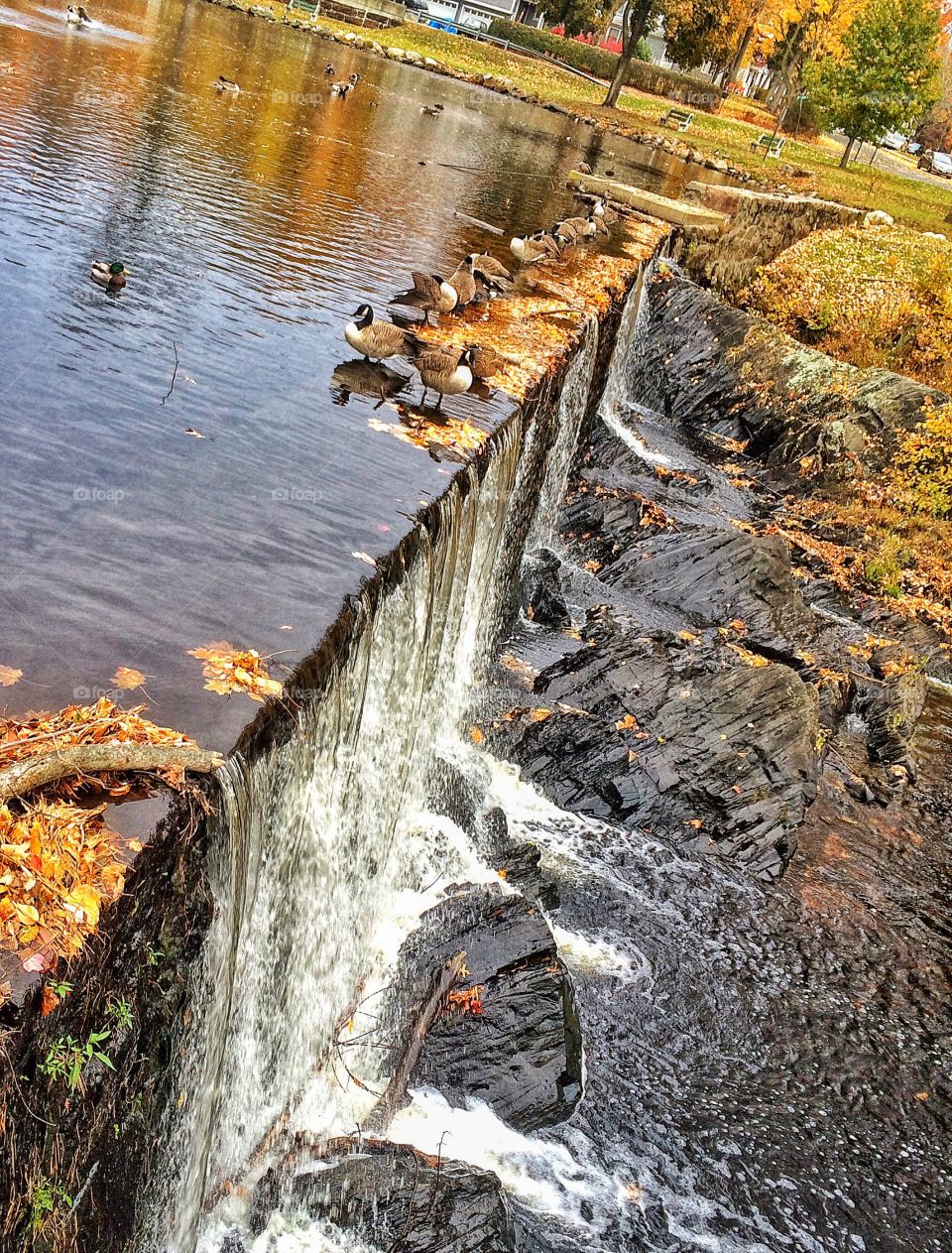 Milford, CT. Overcast Autumn 