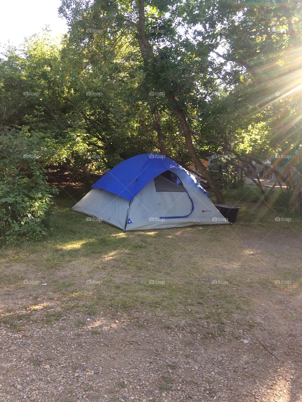 My architectural tent, designed and made by Coleman, built/setup by me, in this wonderful fairy land, its shape is rounded but yet square, structurally sound, my happy place, and taken on my iPhone 5 in the summer on a sunny day