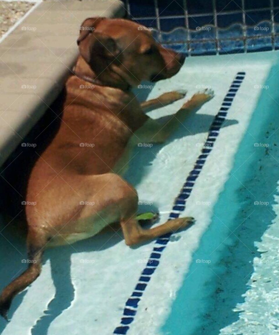 Relaxing in the pool 