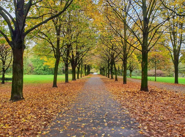Autumn colors
