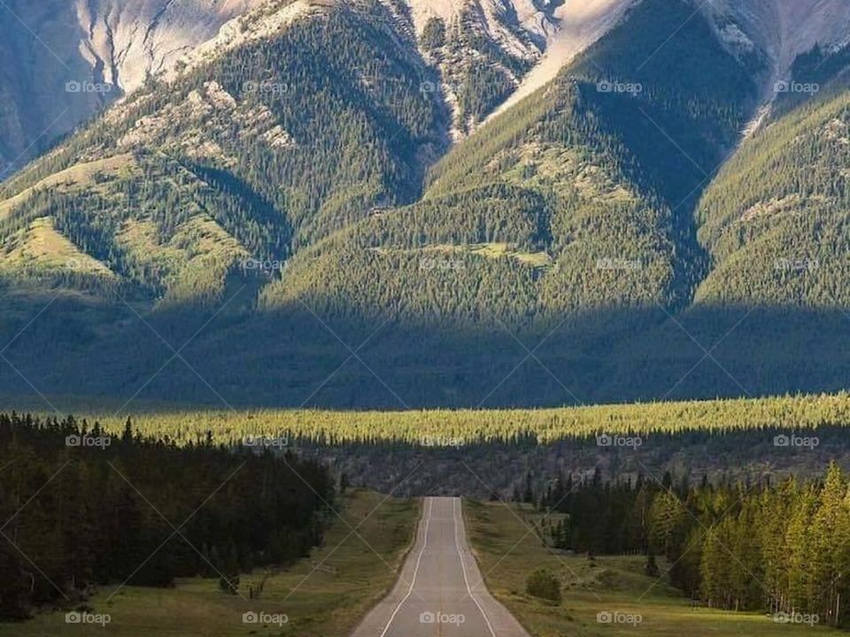 Highway in Alberta 