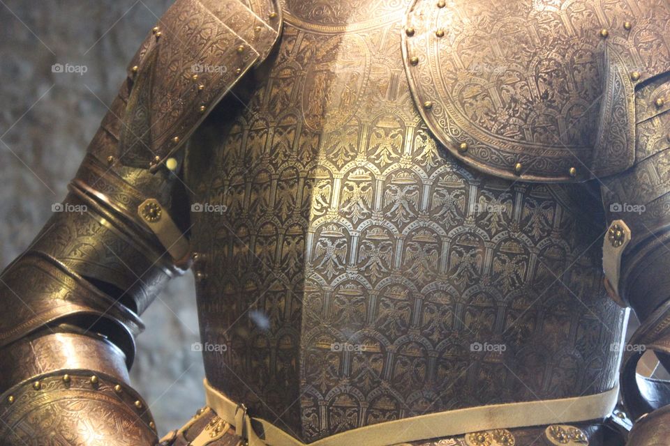 armor embellished. elegant armor with detailed embellishment