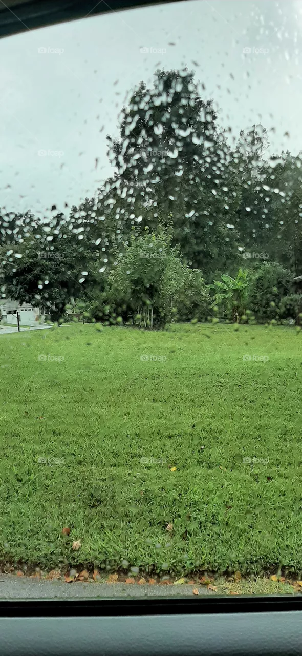 Rainy day