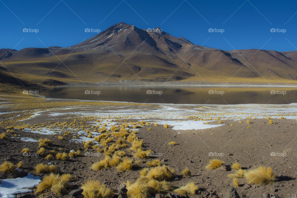 Altiplanic lagoon