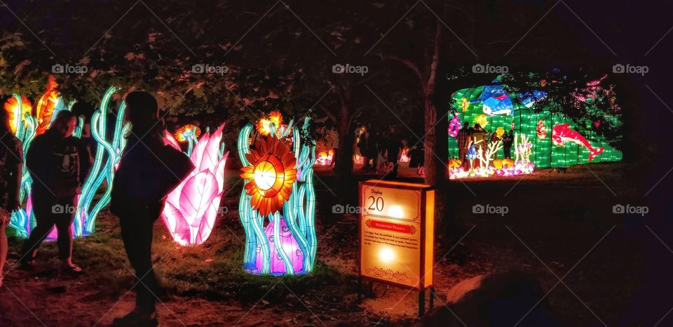 ILLUMINATION of Lights