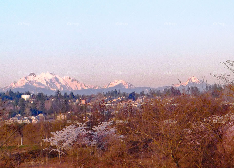 Pink mountains, Washington state