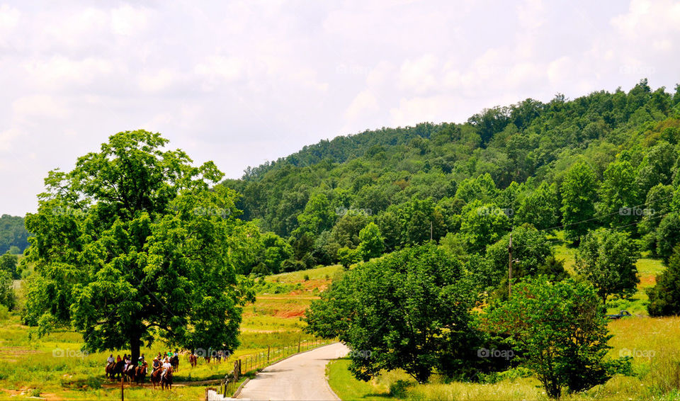 kentucky horse trail by refocusphoto