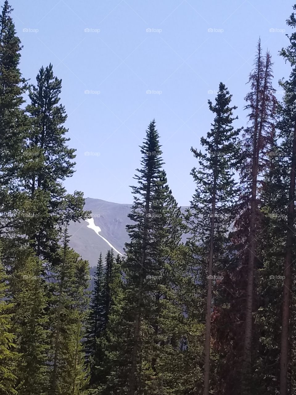 Colorado