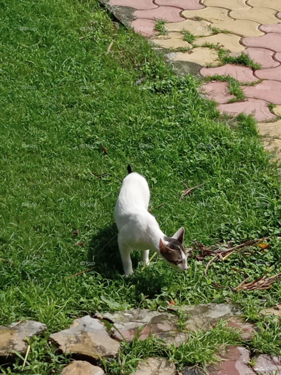 Looking for a playmate 😍