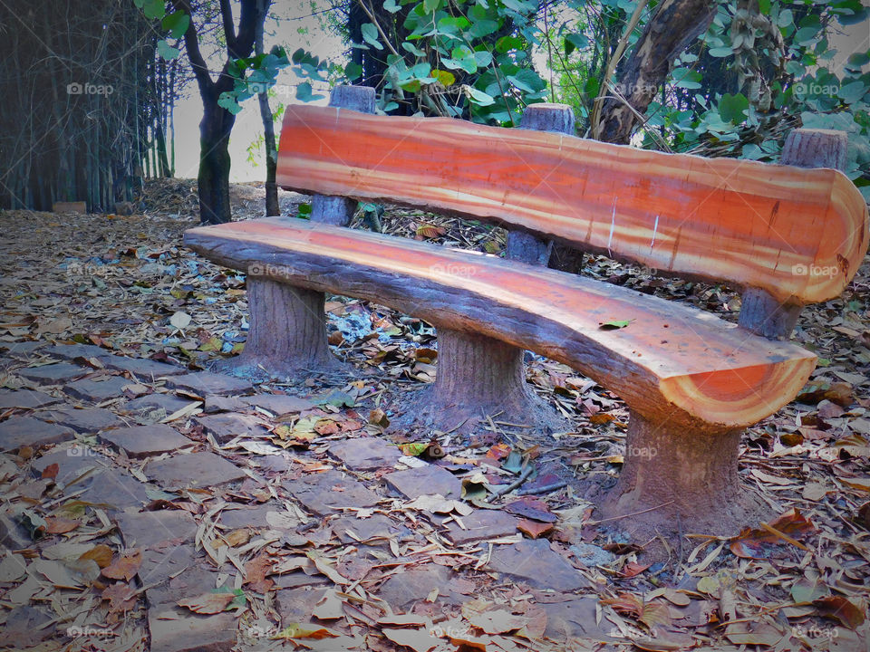 wooden curved bench in garden surrounded by green vegetation or trees, situated on elliptical shape rockery ground.