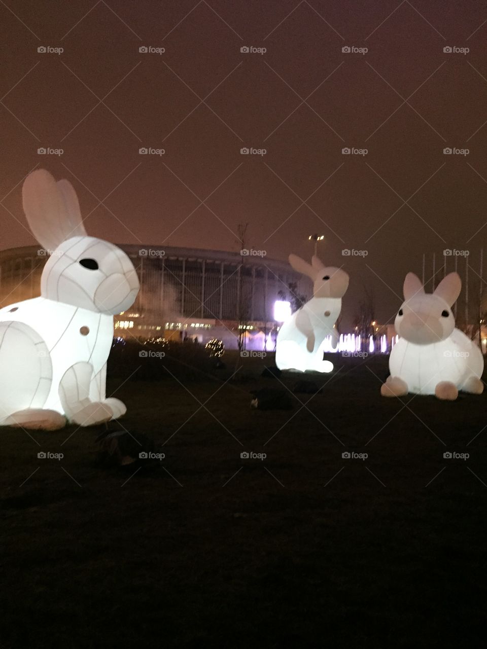 Cute little white Rabbits in a light festival 