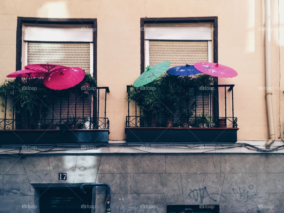 Windows of Madrid
