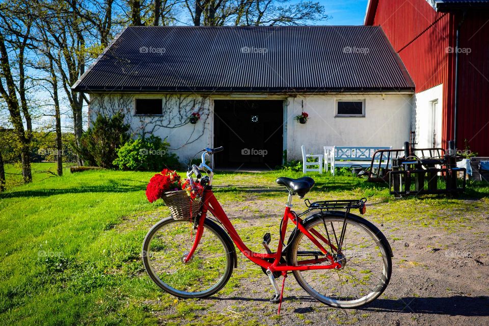 A red bycyckle and green nature color around like a frame ,its spring for sure at the countryside