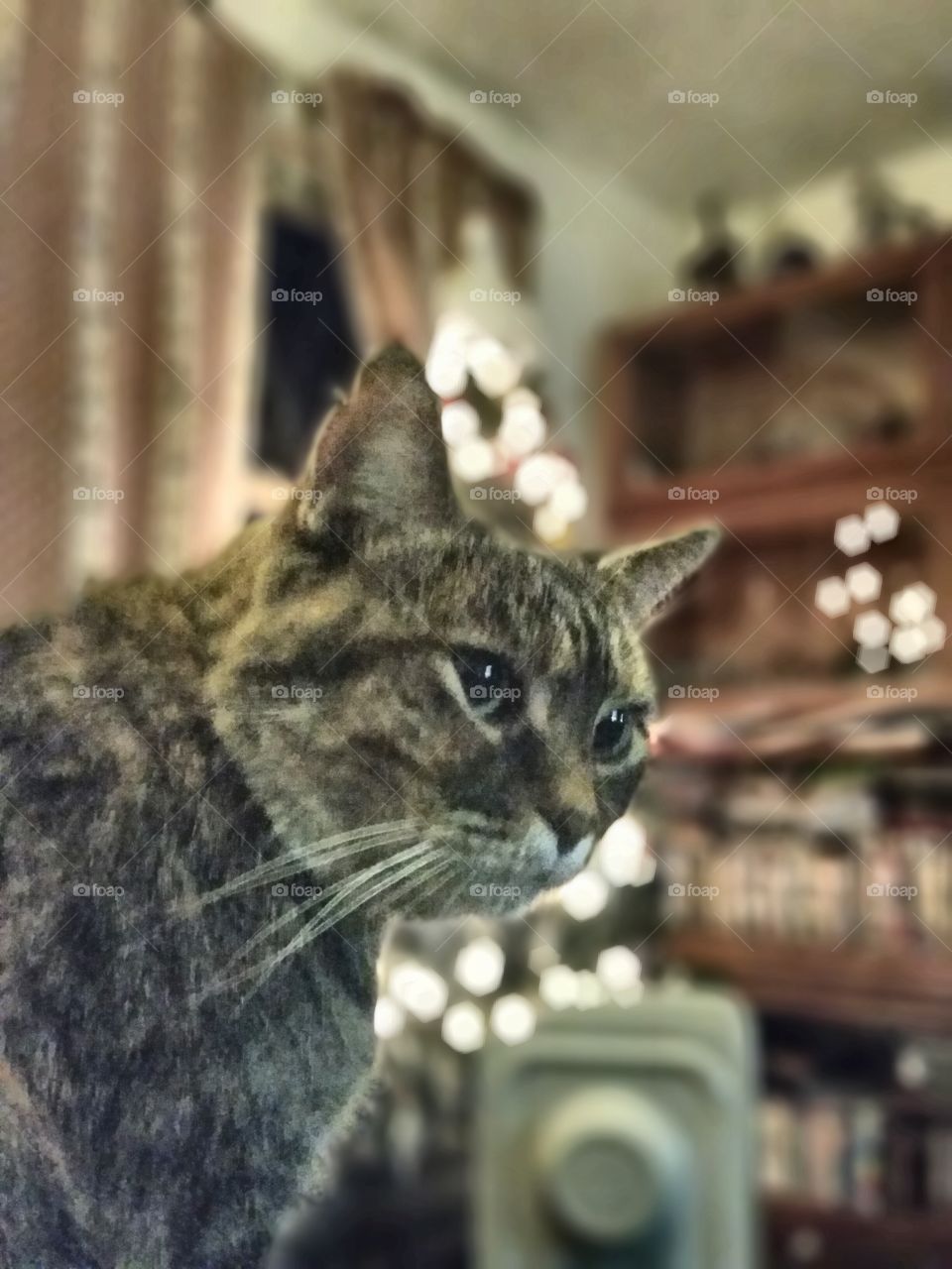 Bast the evil Egyptian cat goddess