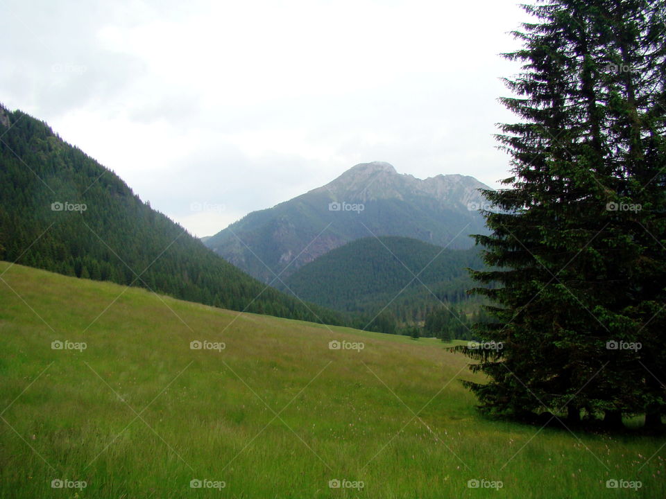 Chochołowska Valley in the Tatra Mountains