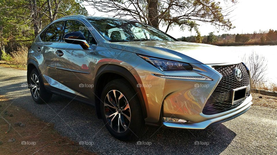 2015 Lexus NX 200t f sport. This photo was taken in April 2015 in Chester,  md of my new ride!