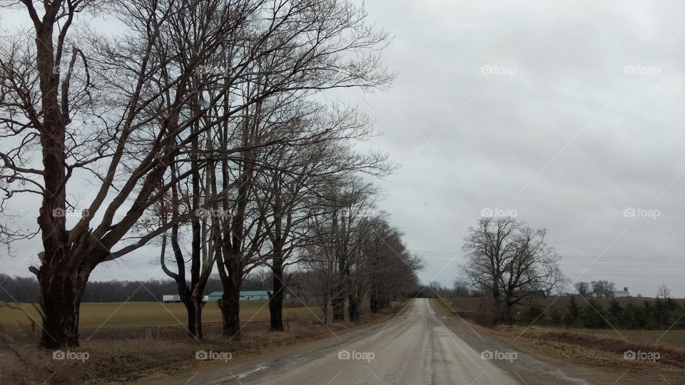 Once Upon An Early Spring