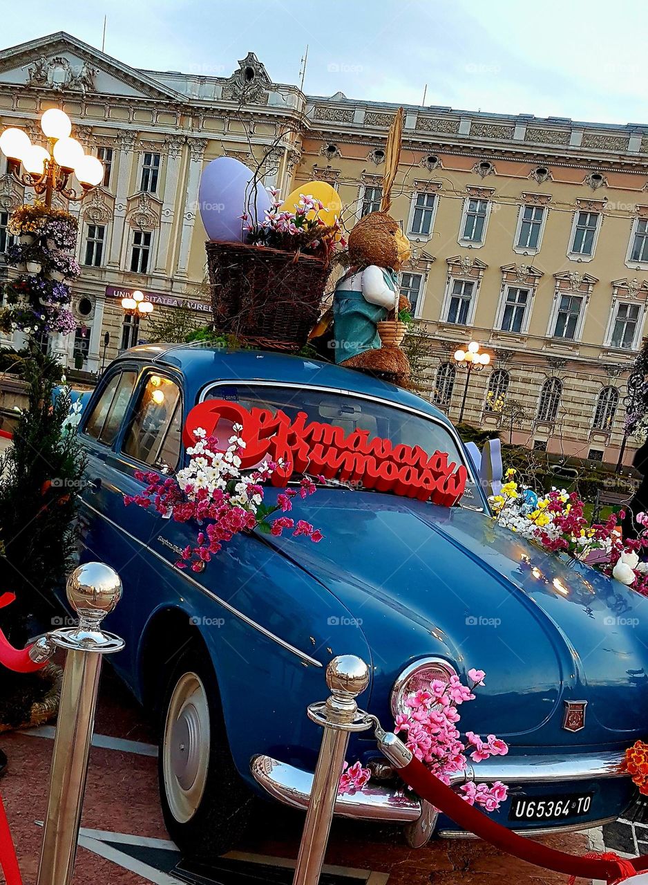 magenta flowers on the car