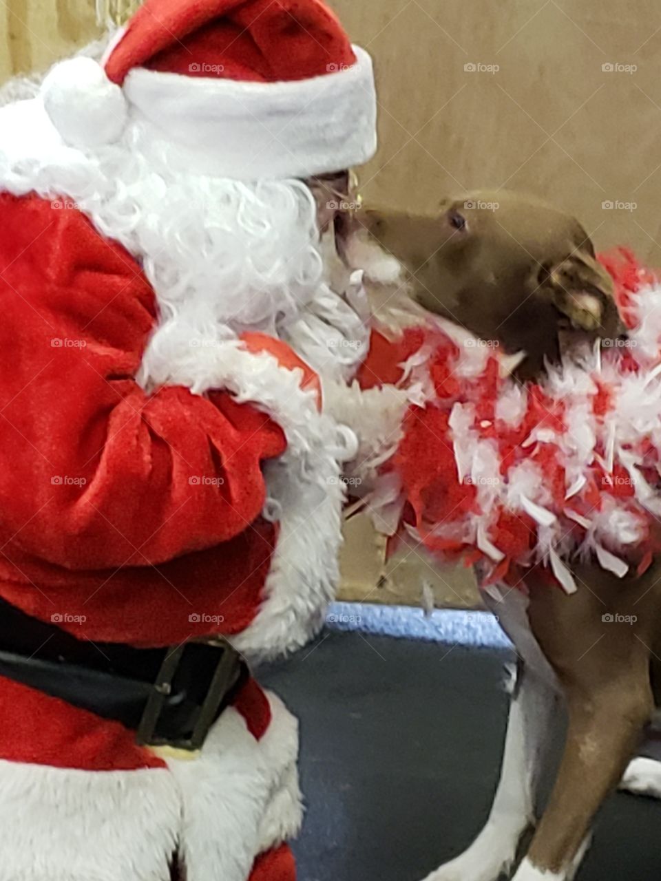 Santa kissing dog