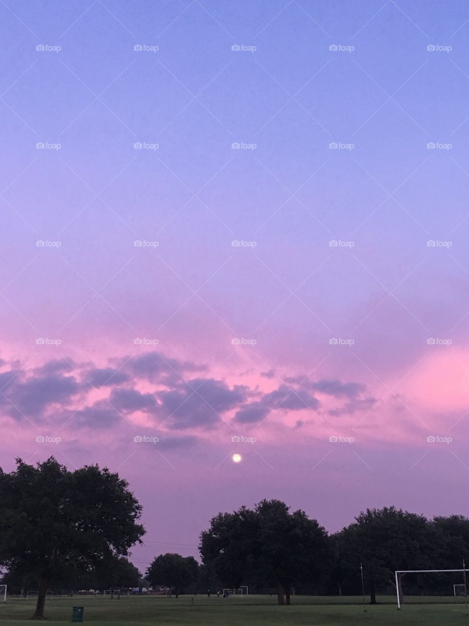 Purple clouds and the moon 