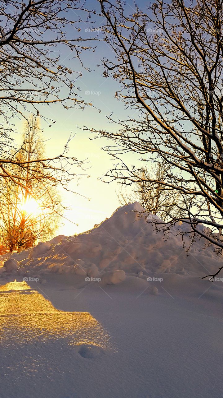 A little bit of sunny nature