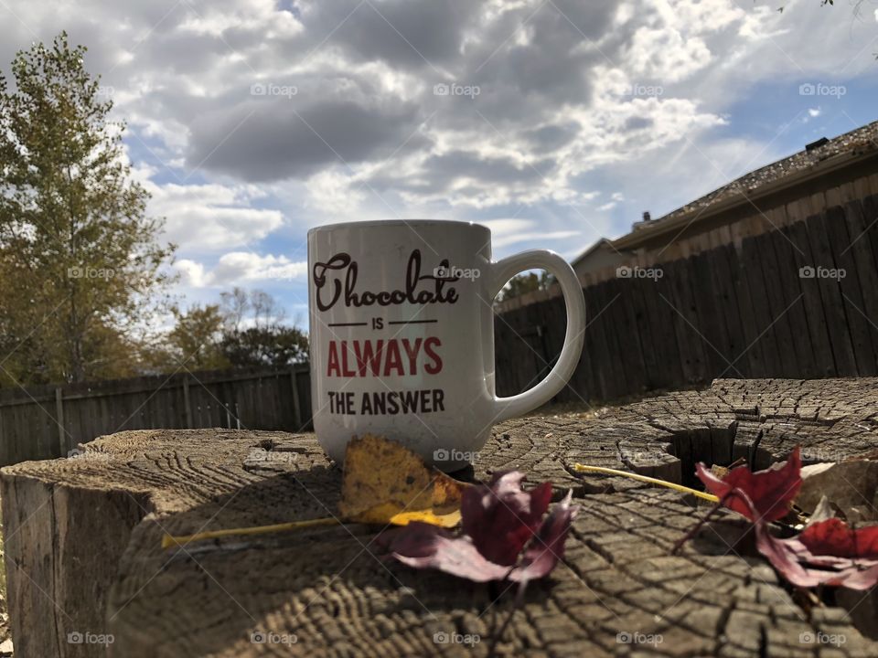 Hot chocolate makes a day even better!