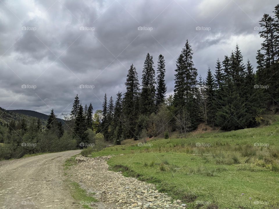 Carpathians (Ukraine).