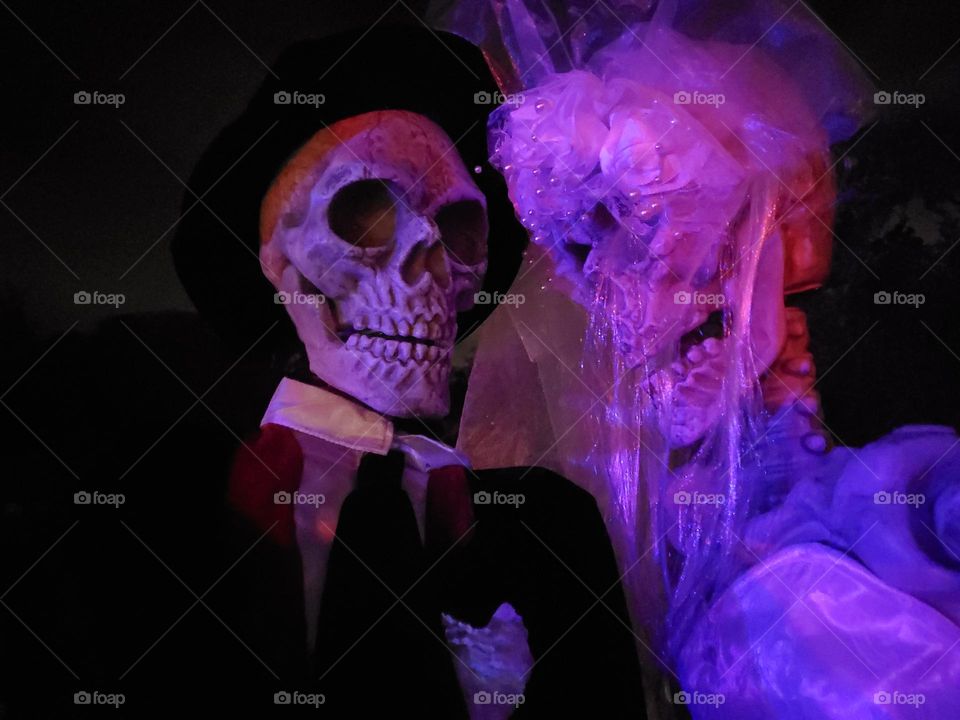 Skeleton couple in color