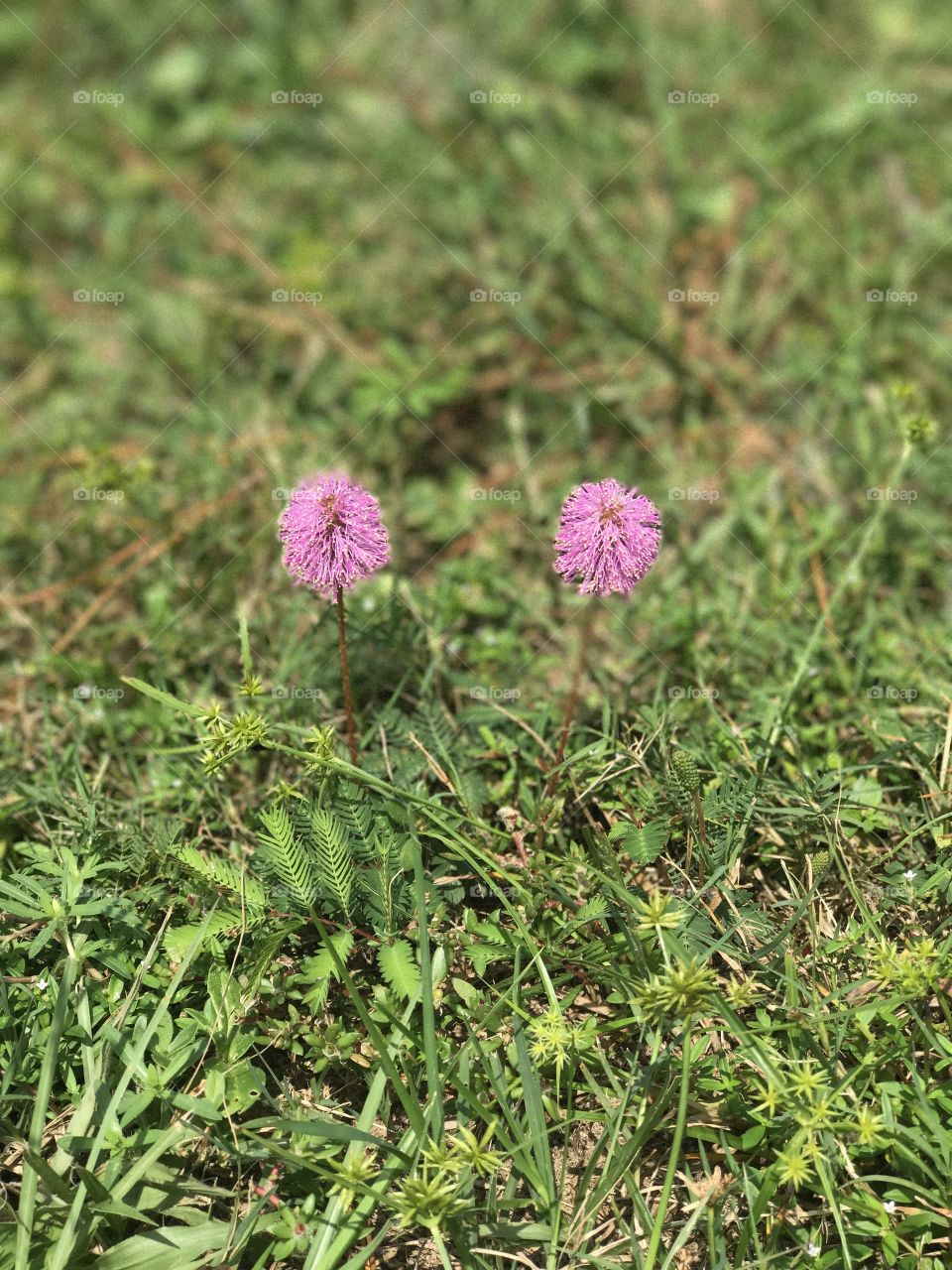 Beauty is in the eye of the beholder